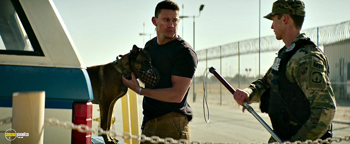 A still #7 from Dog (2022)