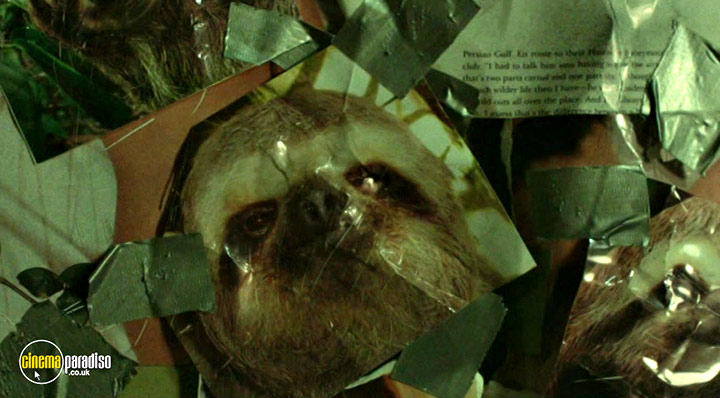 A still #15 from Inanimate (2015)