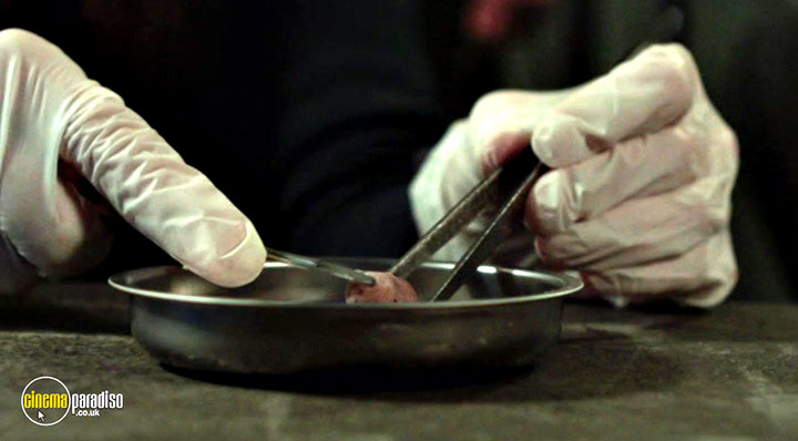 A still #6 from Inanimate (2015)
