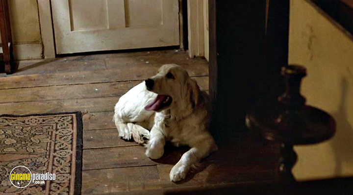 A still #13 from Reds (1981)