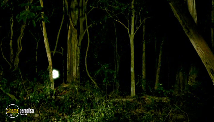 A still #30 from Lizard Woman (2004)