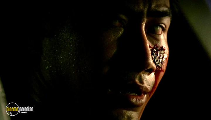 A still #28 from Lizard Woman (2004)