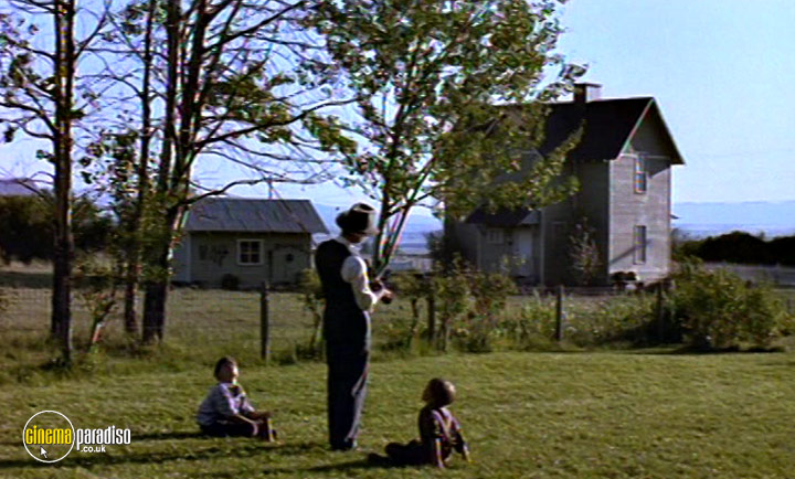 A still #34 from A River Runs Through It (1992)
