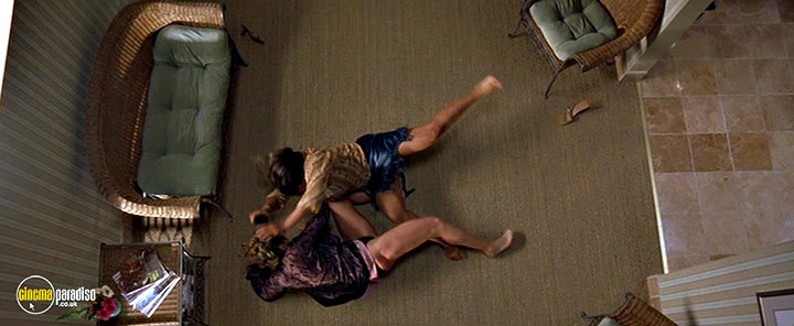 A still #28 from Bringing Down the House (2003)