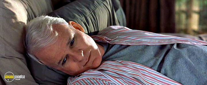 A still #17 from Bringing Down the House (2003)