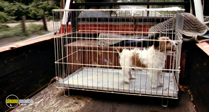 A still #12 from The Stepford Wives (1975)