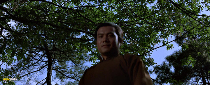 A still #33 from The Shaolin Plot (1977)