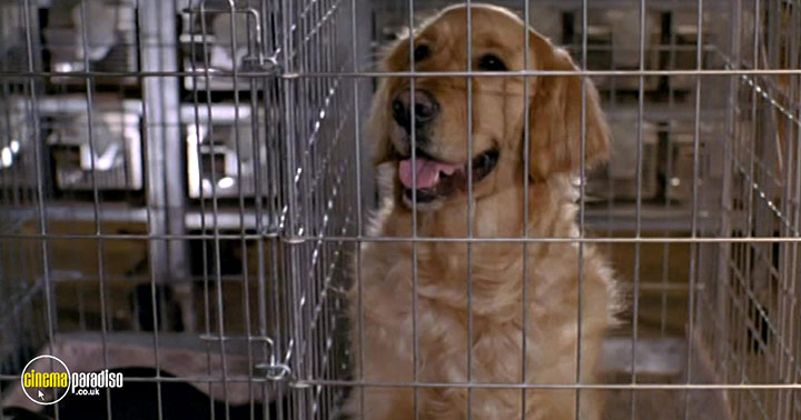 A still #39 from Fly 2 (1989)