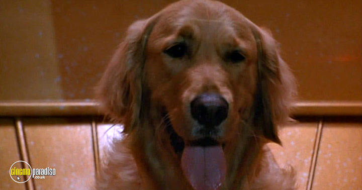 A still #38 from Fly 2 (1989)
