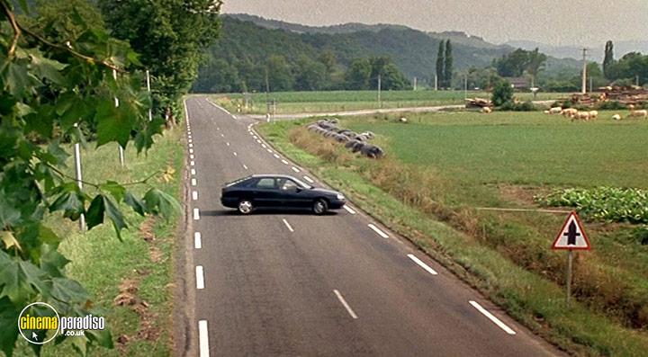 A still #20 from Happiness Is in the Field (1995)