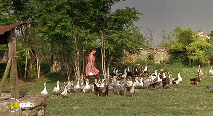A still #14 from Happiness Is in the Field (1995)
