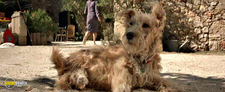 A still #15 from Bed and Breakfast (2003)