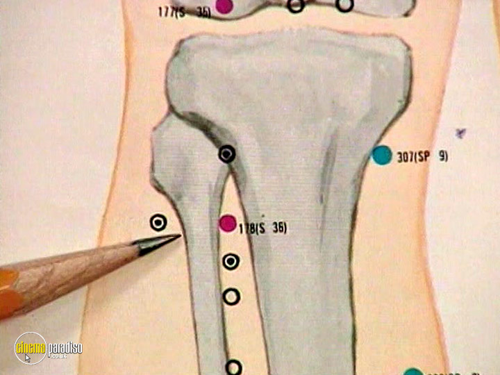 A still #22 from Essential Self Massage (2004)