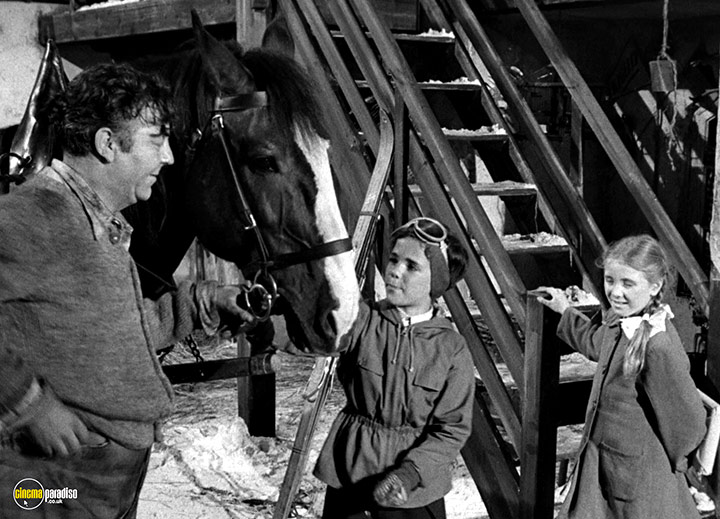 A still #16 from The Divided Heart (1954)