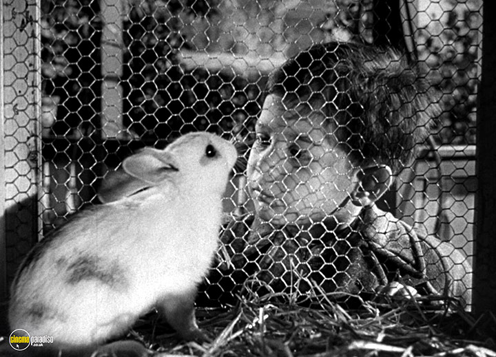 A still #18 from The Divided Heart (1954)