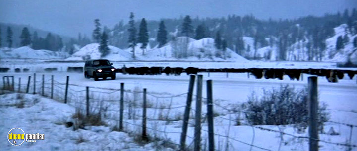 A still #28 from The Pledge (2001)
