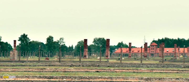 A still #13 from From Where They Stood (2021)