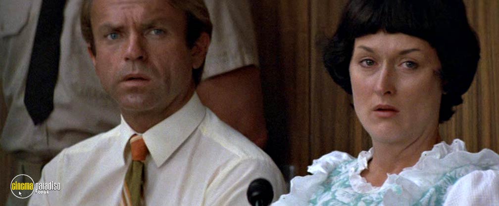 A still from A Cry in the Dark (1988) 