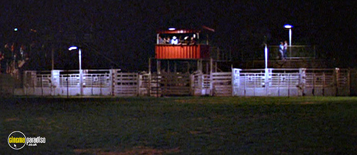 A still #38 from The Electric Horseman (1979)