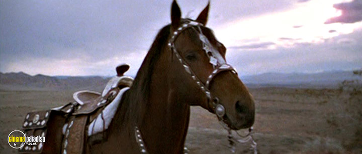 A still #18 from The Electric Horseman (1979)