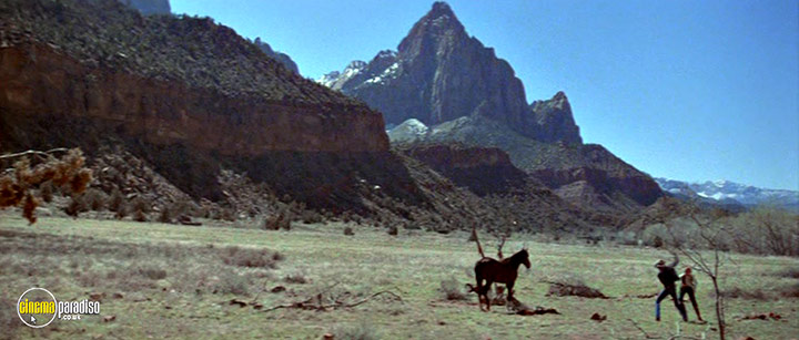 A still #3 from The Electric Horseman (1979)