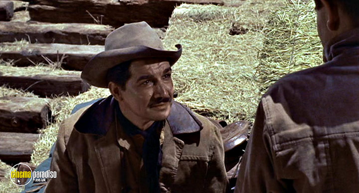 A still #41 from Cowboy (1958)