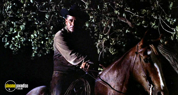 A still #33 from Cowboy (1958)