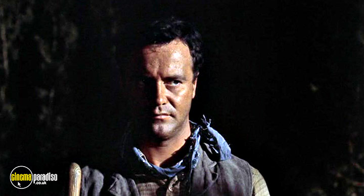 A still #29 from Cowboy (1958)