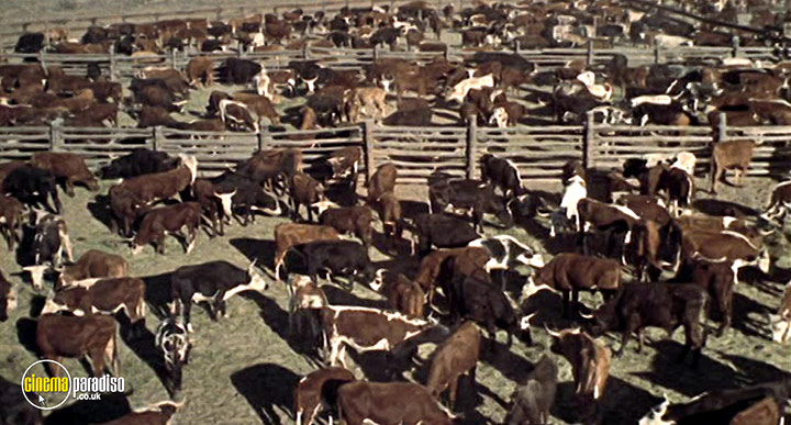 A still #27 from Cowboy (1958)