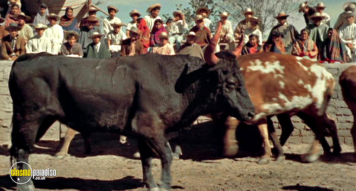 A still #20 from Cowboy (1958)