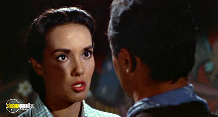A still #19 from Cowboy (1958)