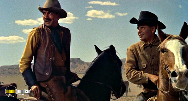A still #16 from Cowboy (1958)