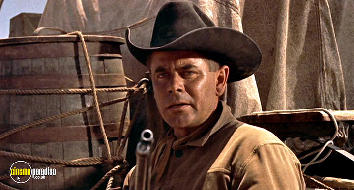 A still #13 from Cowboy (1958)