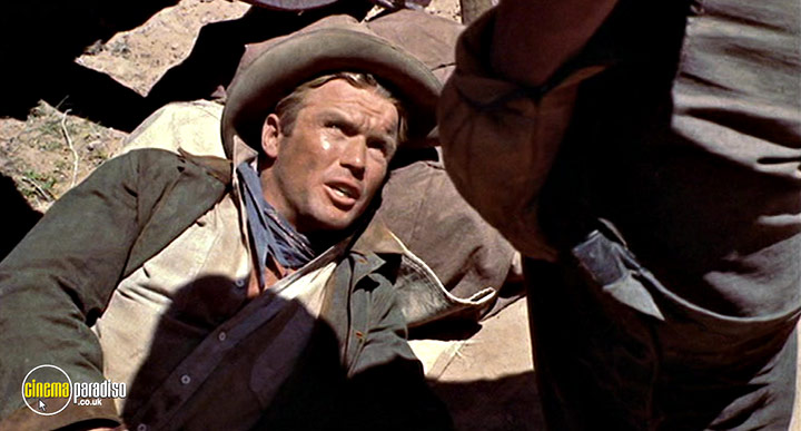 A still #9 from Cowboy (1958)