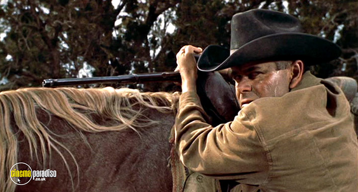 A still #3 from Cowboy (1958)