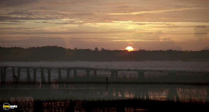 A still #19 from The Big Chill (1983)
