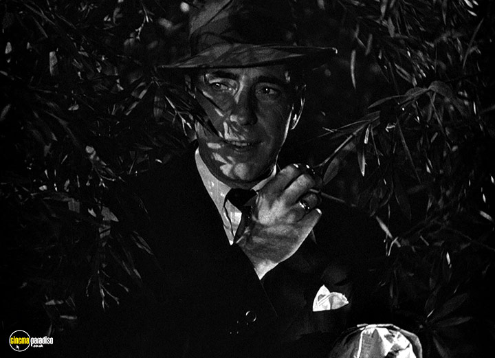 A still #55 from Dead Reckoning (1947)