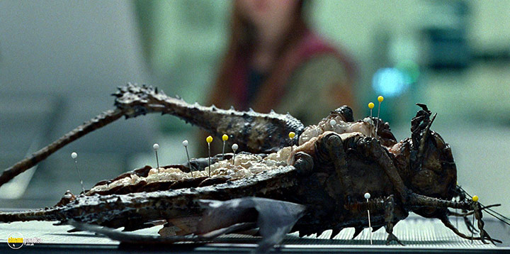 A still #79 from Jurassic World: Dominion (2022)