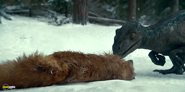 A still #76 from Jurassic World: Dominion (2022)