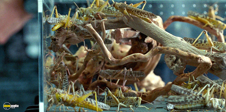 A still #74 from Jurassic World: Dominion (2022)