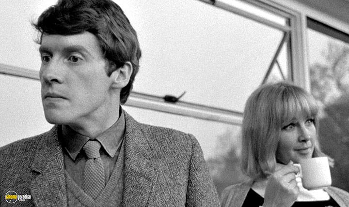 A still #23 from The Knack and How to Get It (1965)