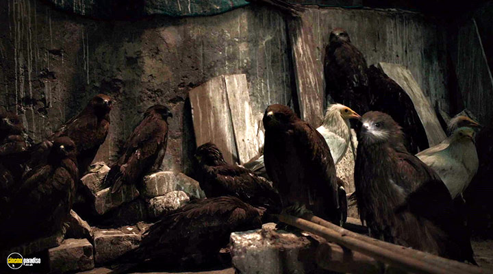 A still #13 from All That Breathes (2022)