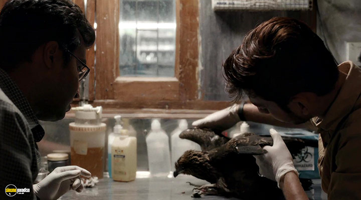 A still #8 from All That Breathes (2022)