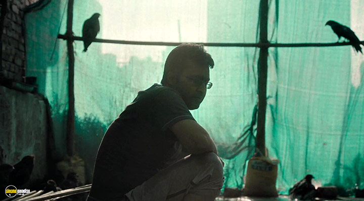 A still #6 from All That Breathes (2022)