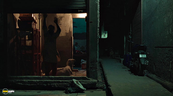 A still #2 from All That Breathes (2022)