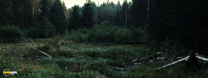 A still #20 from The Silent Forest (2022)