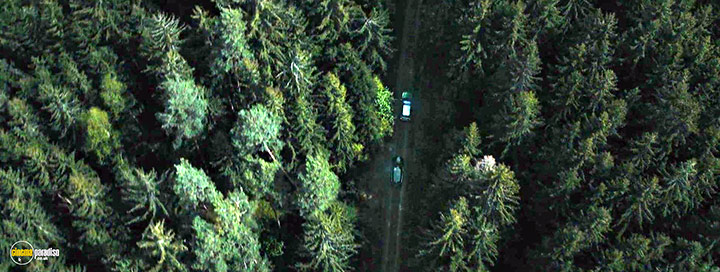 A still #19 from The Silent Forest (2022)