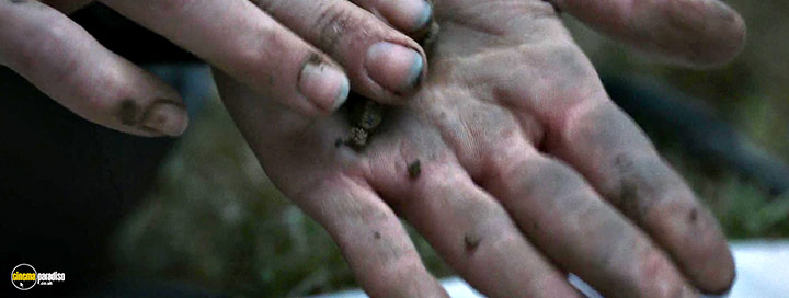 A still #5 from The Silent Forest (2022)