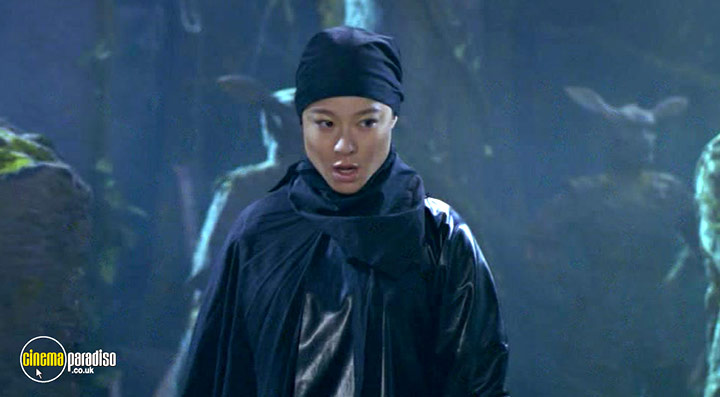 A still #12 from Warriors of Virtue 2: The Return to Tao (2002)