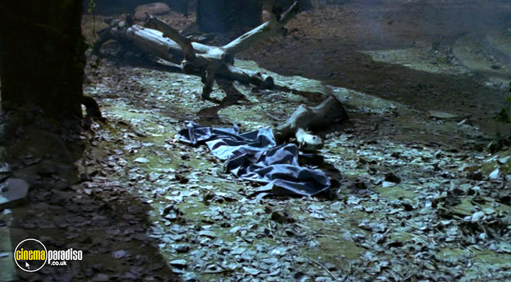 A still #8 from Warriors of Virtue 2: The Return to Tao (2002)